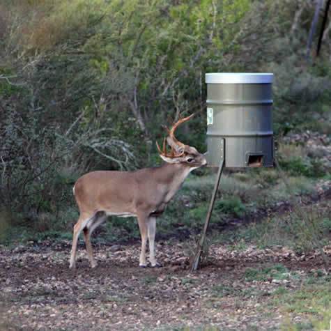 How to Upgrade a Deer Feeder